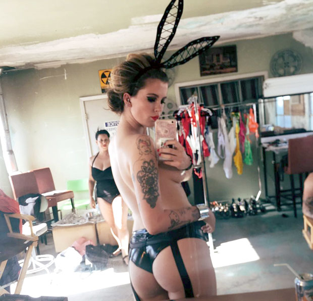 Голишава зечица